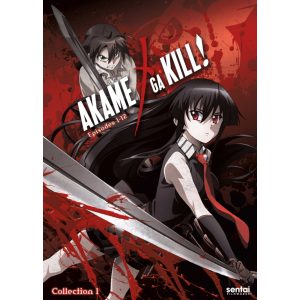 FanArt Anime - Akame Ga Kill - poszter